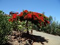 23 Lajita - Giardino botanico